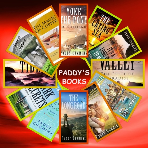 paddy's books 2