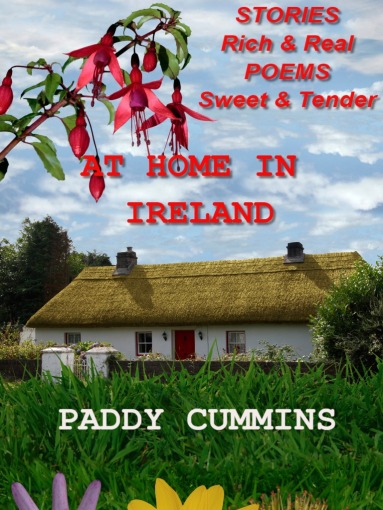 At Home in Ireland Cover